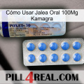 Cómo Usar Jalea Oral 100Mg Kamagra 39